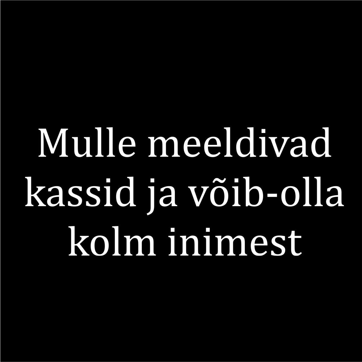 Must UNISEX dressipluus ilma kapuutsita "Mulle meeldivad kassid ja võib-olla kolm inimest"