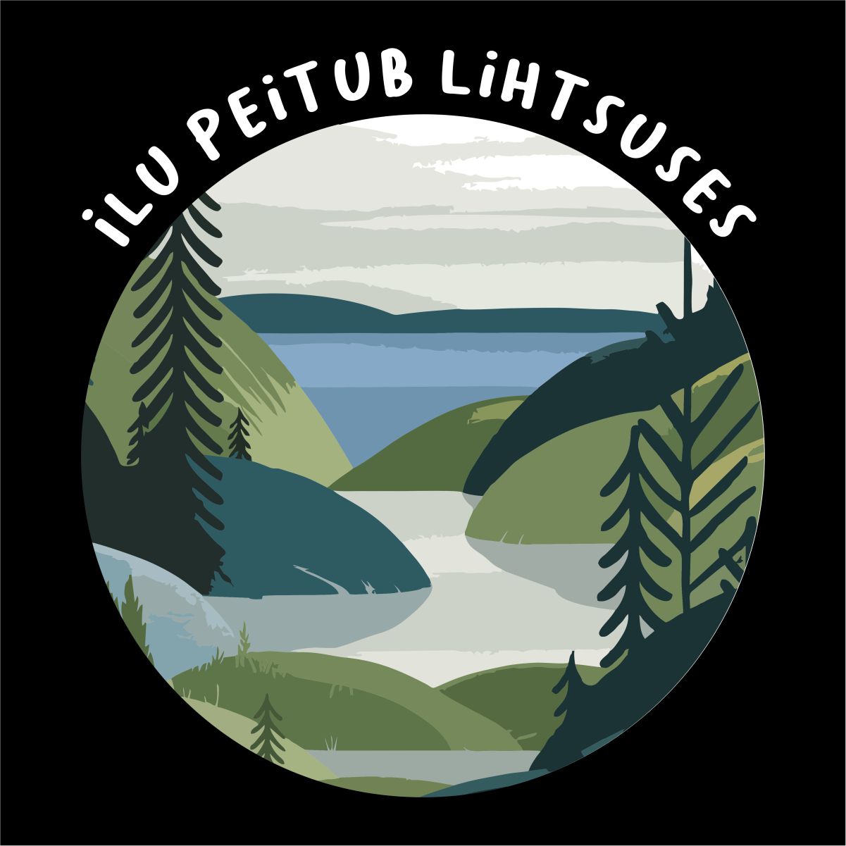 Must pusaer ilma kapuutsita "Ilu peitub lihtsuses"