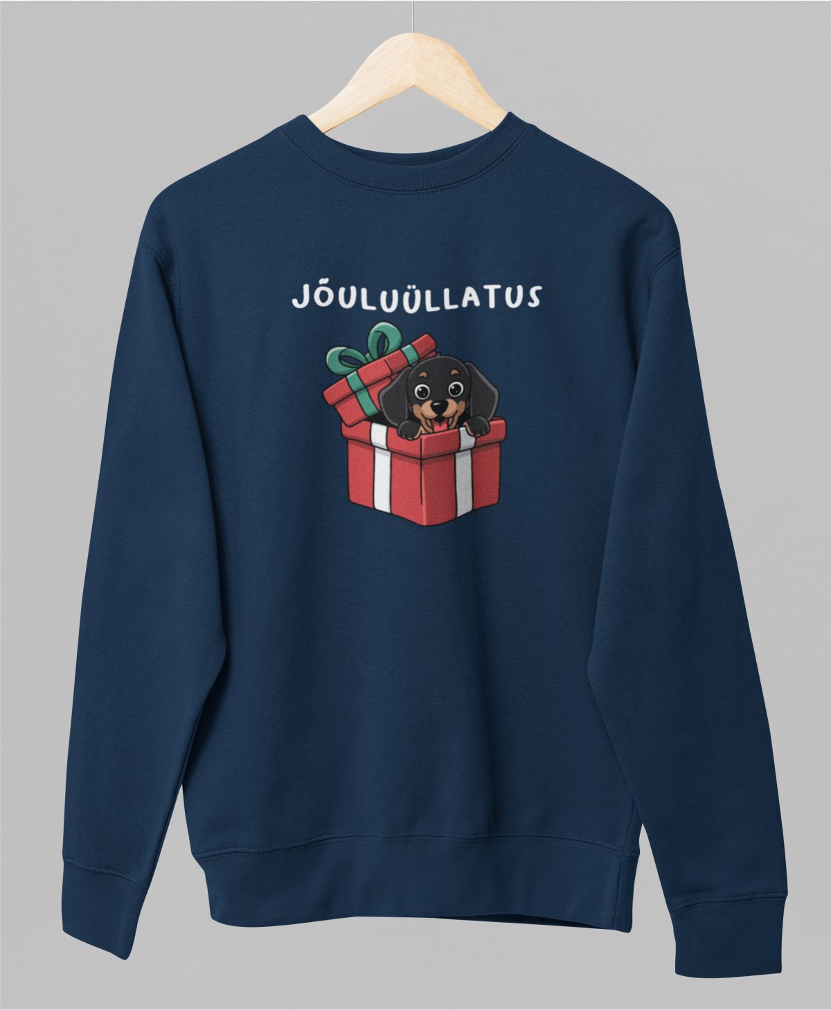 Sinine UNISEX pusaer ilma kapuutsita "Jõuluüllatus"