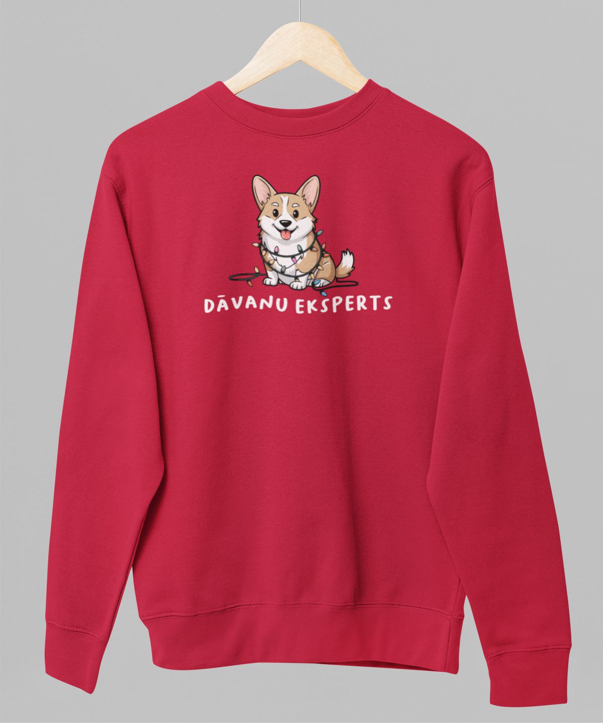 Sarkans UNISEX džemperis bez kapuces "Dāvanu eksperts"