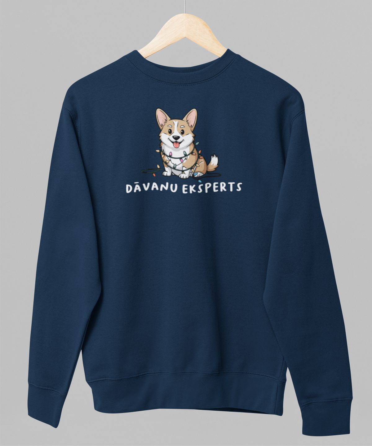 Zils UNISEX džemperis bez kapuces "Dāvanu eksperts"