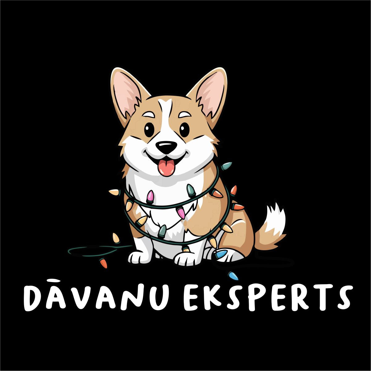 Melns UNISEX džemperis bez kapuces "Dāvanu eksperts"